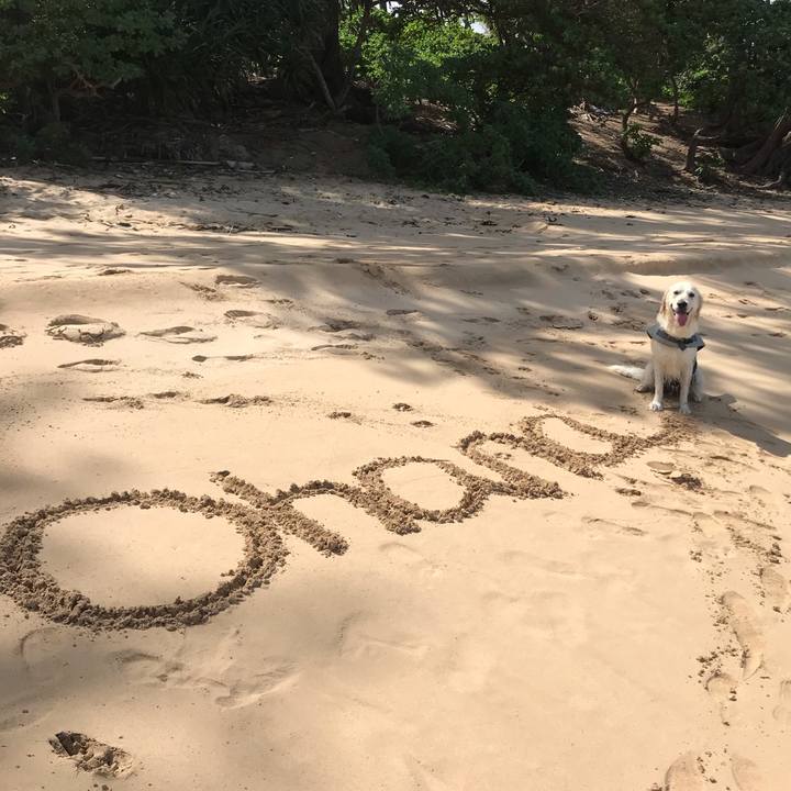 65f1d050 3042 47de 88fc be4e2e6b56bf 1542179067326