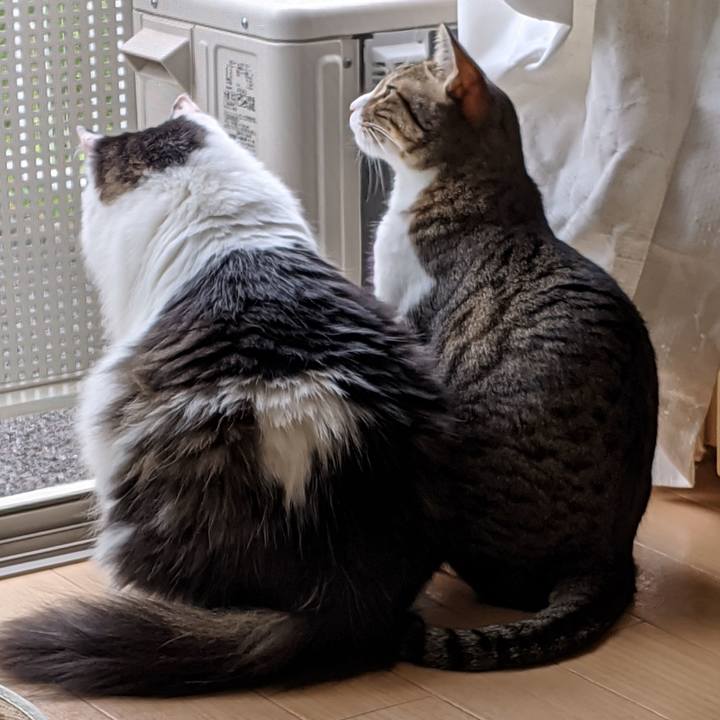 65f1dd02 0db7 466d 8cd8 ec43bbfe8896 1588574501273