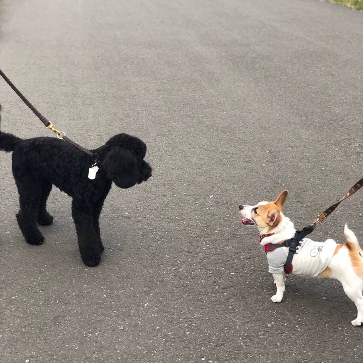 65f1ef5a d2aa 425a 95dc 645377206344 1559312557849