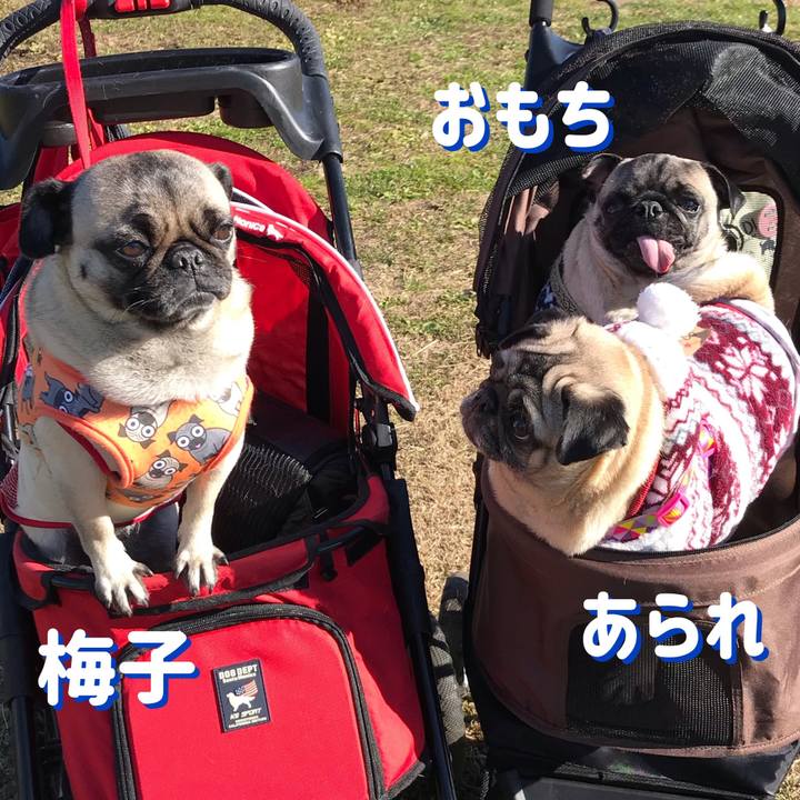 65f23762 b99e 4598 a947 3d427d77ac93 1546078835746