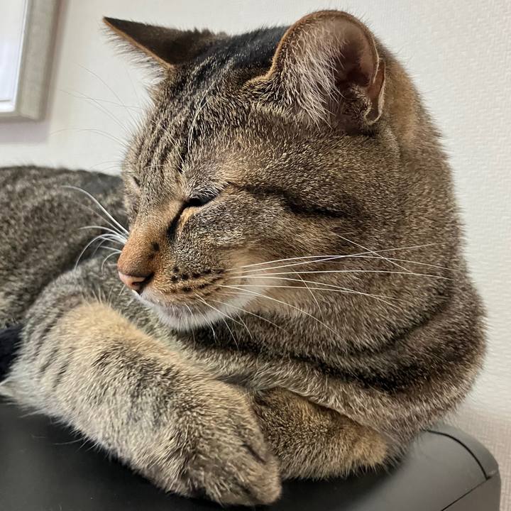 65f23a3c aba2 4987 aade 372f6a90c210 1760076288215