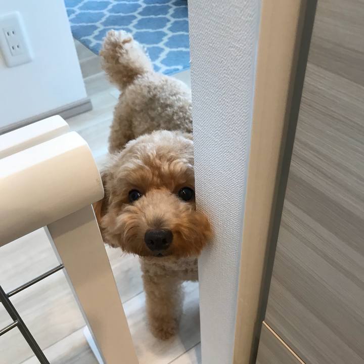 65f251ae 6efa 4726 a595 40b082196fec 1539402021556