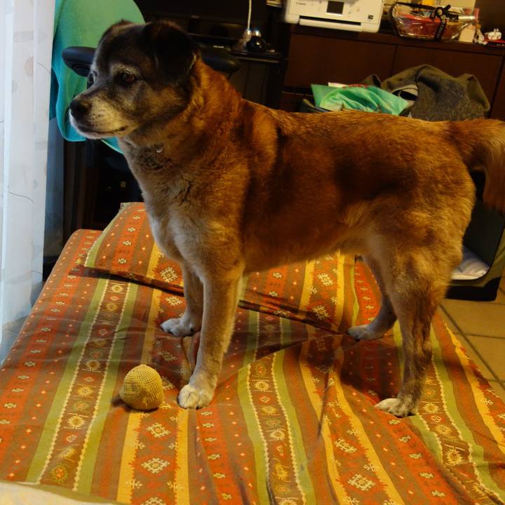 65f256f1 f116 450f b566 040067683d63 1558875907324