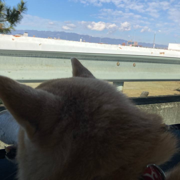 65f2c2e5 1ea6 43c5 9e5f 4545019e9343 1613309871037