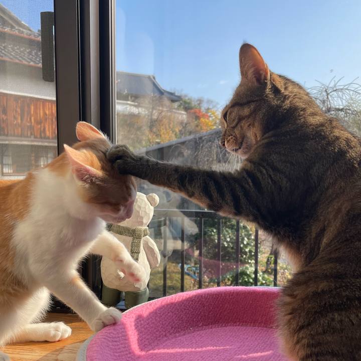 65f30880 2539 41ef 80e6 16ec4eca8b29 1701044797320