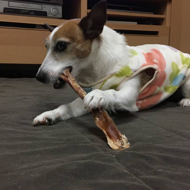 65f30890 4f70 4220 a1eb 69afb4e6d8d2 1585781073380