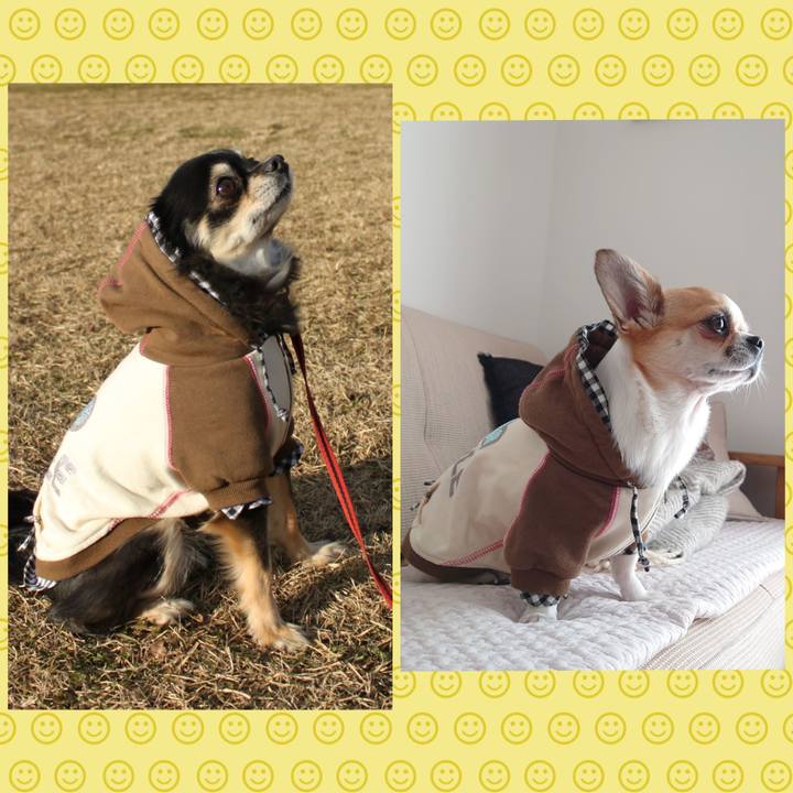 65f30998 d904 4a99 8245 ce2c417dd5c4 1645514563864