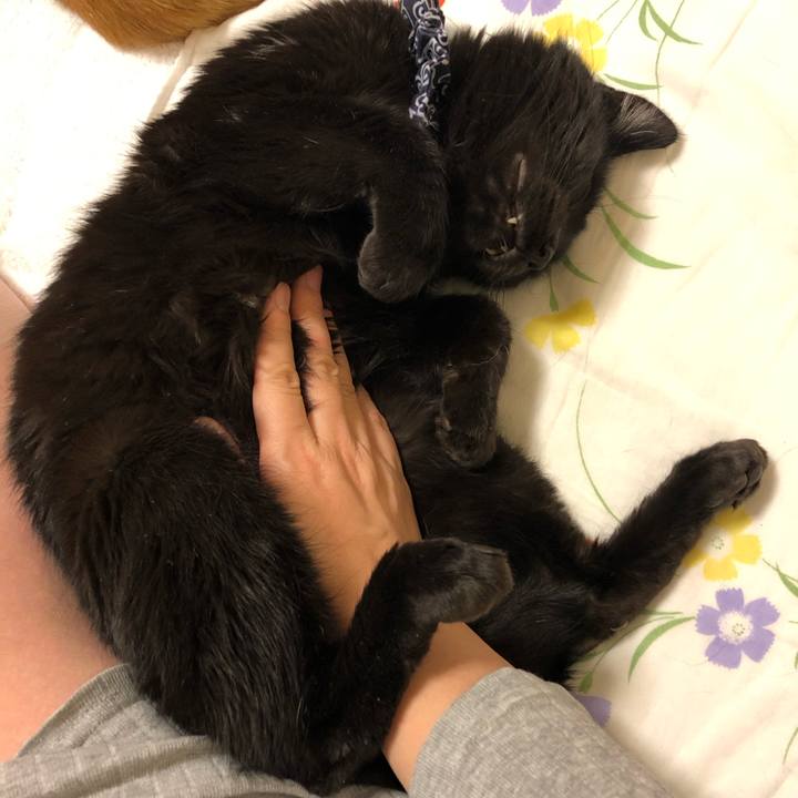 65f31b59 b9b0 4e0c abec ba43309da3b5 1576242832399