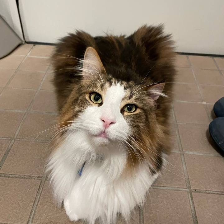 65f32c16 8b39 401c be34 4599da320881 1703618926897