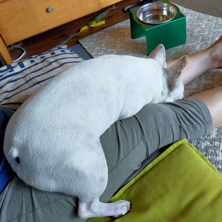 65f32e8c b81e 4081 a293 d66f331050e2 1664491576249