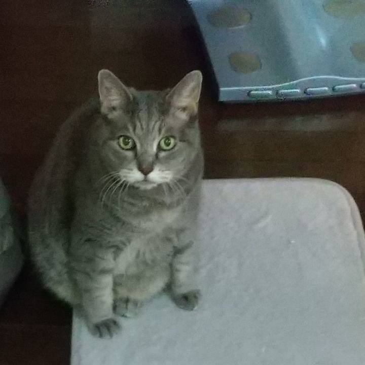 65f32fde c8db 4b39 b34e e0142bb5da62 1632868520017