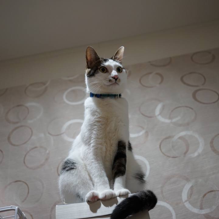 65f3890f 488d 44c2 a5e0 fffa50391fb5 1513121098173