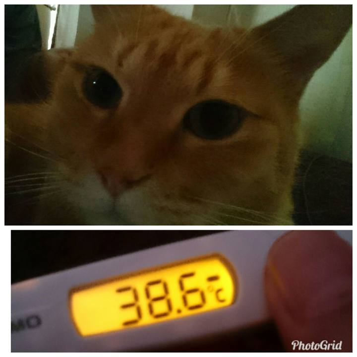 65f3a152 6ce5 4bb8 bb50 5d1875ae9097 1538693984231