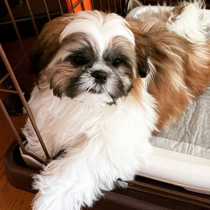 65f3bb20 0309 4eb3 b582 000f75940278 1630308253877