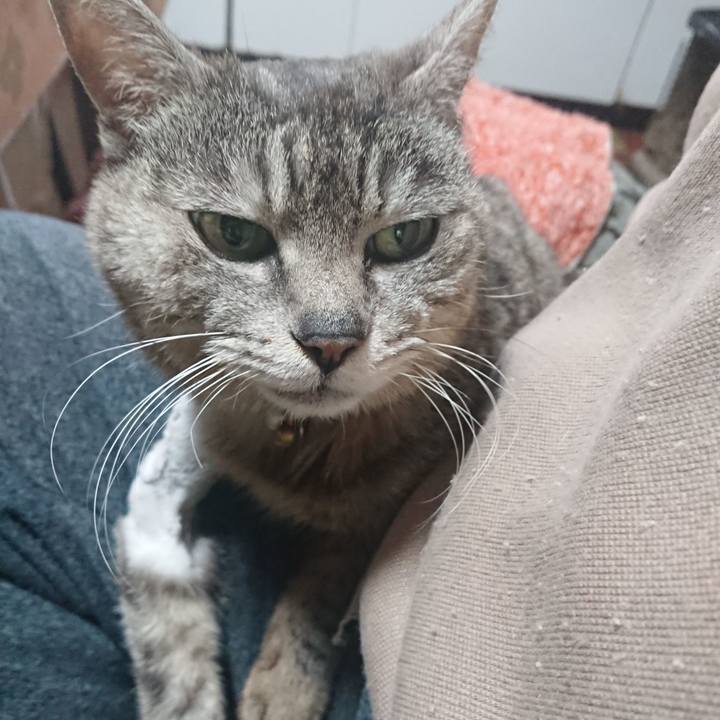 65f3bf5d 4bd0 453c 862c d57c0601844e 1588021653198