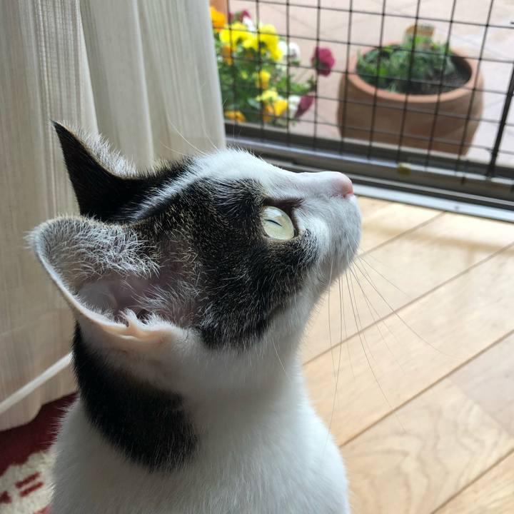 65f3d785 4b56 4d5a aeb4 089ae30b3d25 1713164856707