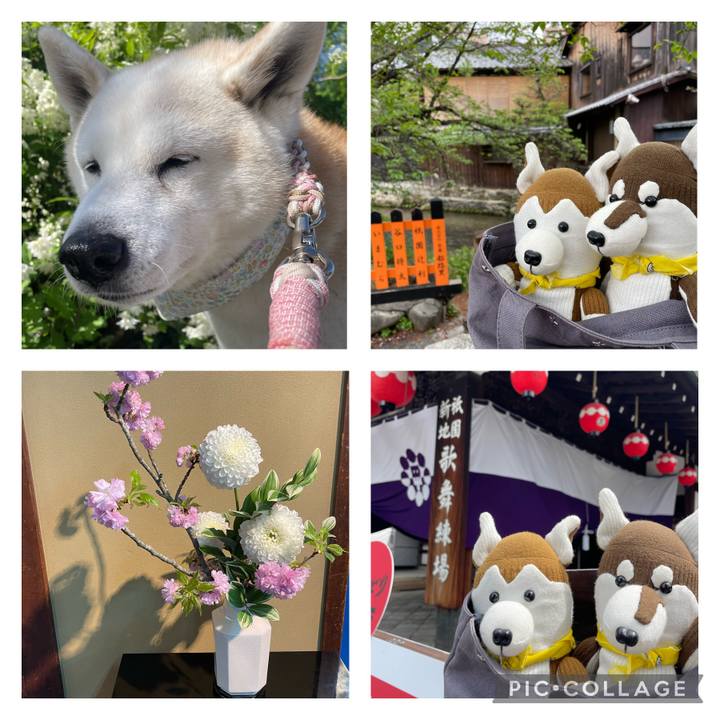 65f3f93d a32b 4a66 8660 54c86d803f1b 1681724563482