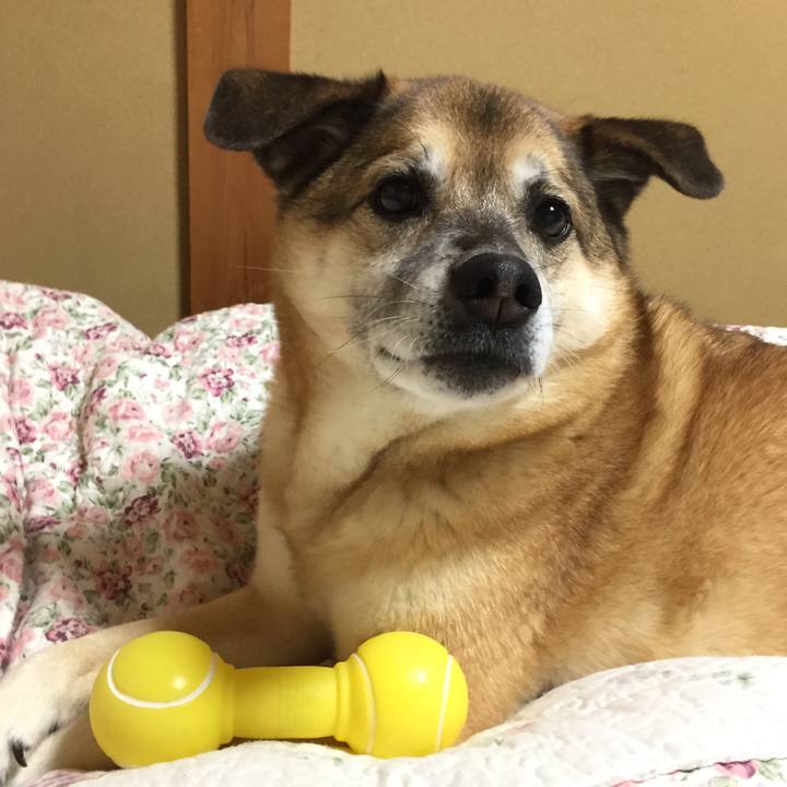 65f3fbfe b04c 4650 bb63 8484ffca88bf 1583401703027