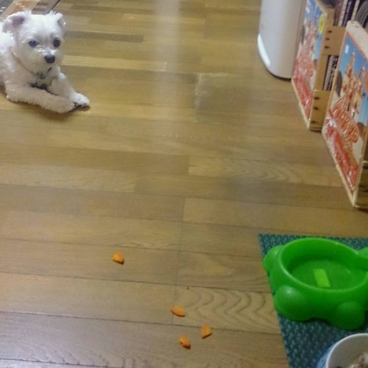 65f4173f ec1d 4a57 95b1 a53bb1895fe2 1528888465985