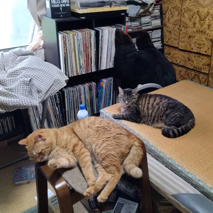 65f42460 e4be 4f45 a453 b55ccb7a9820 1720430481379