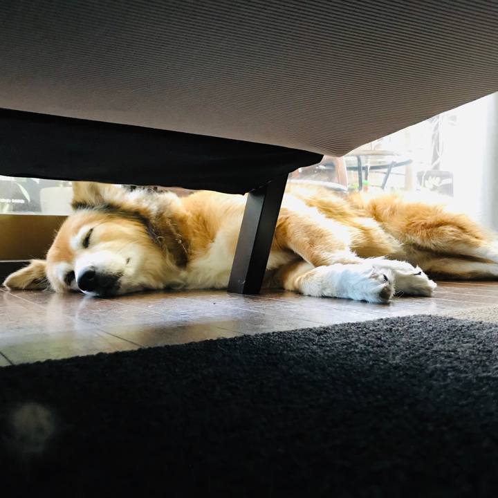 65f4250c 459d 4f24 a89f 6ea62fa81ac4 1600497740207