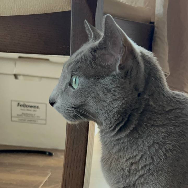 65f42670 0b09 48bd b7d7 c382afe5fc61 1739238384753