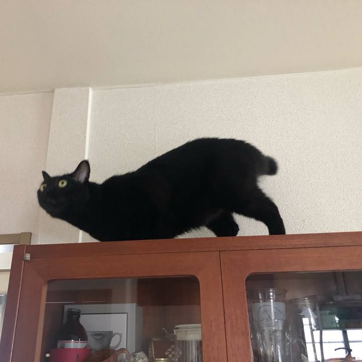 65f4299c 25ee 46cb b647 e101e6fe885d 1601775320090