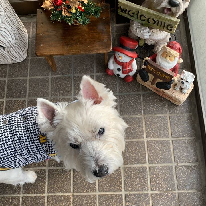 65f4707f c8e3 4400 a92e aa2fc15b1a5e 1640317153970