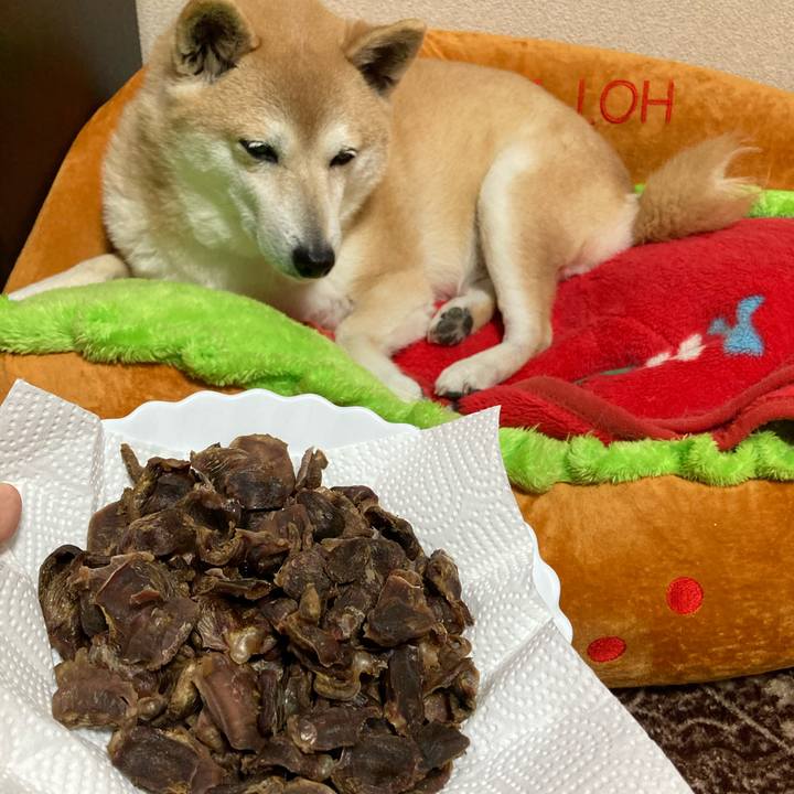 65f47c60 51e9 40dc 849a 4ca4ca1f9c25 1615881365975