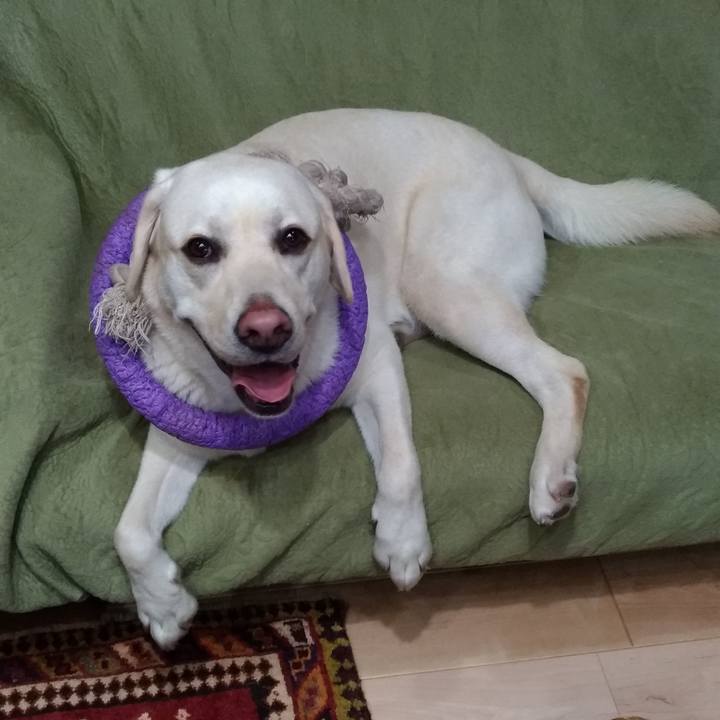 65f4ce67 9d57 4746 abd3 8510c97bf3af 1527776396820