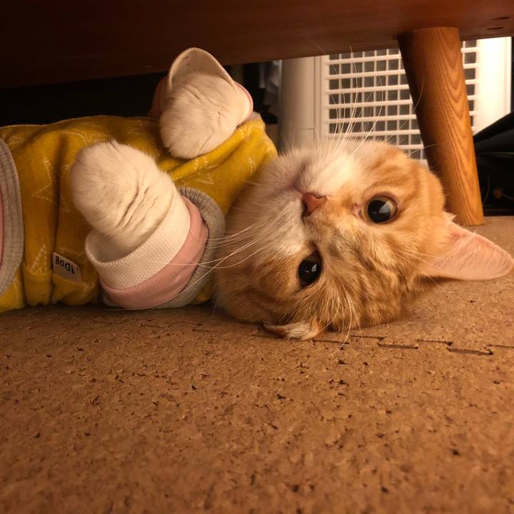 65f4d733 03c3 4184 9c5f 1e666bcc8037 1554806672142