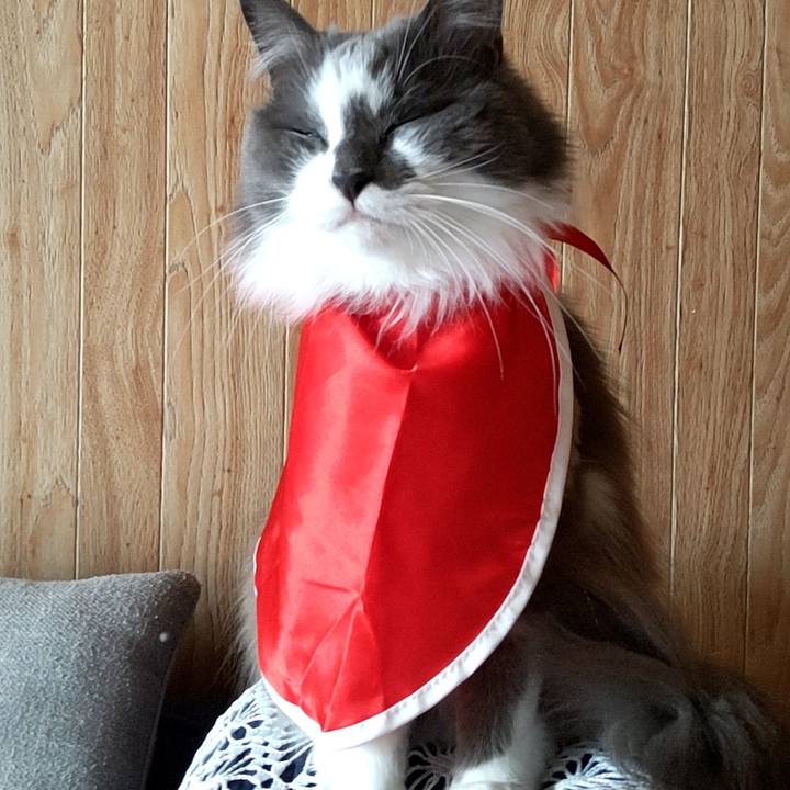 65f4eb90 7fed 4bb9 835c 90e6abecaf90 1700291938769