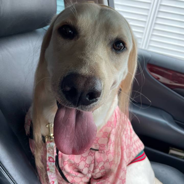 65f4fa1d 79b1 4961 bd81 5e0c8d17c7f6 1646374195450