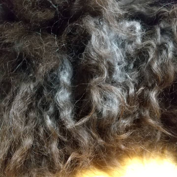 65f522d3 0096 49fb 8bf4 5cf8507770b6 1656933923250