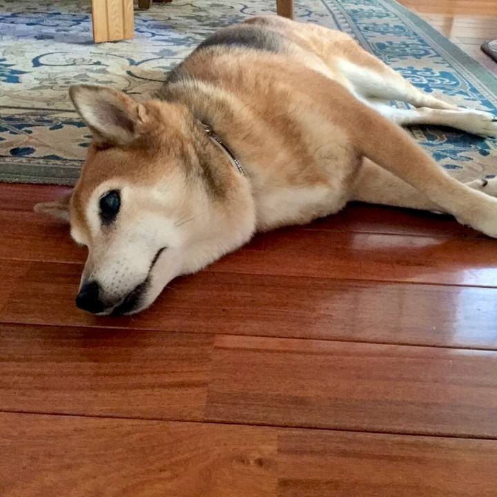 65f54489 4d01 4b16 a984 db8b9ccbd1c8 1633417320665