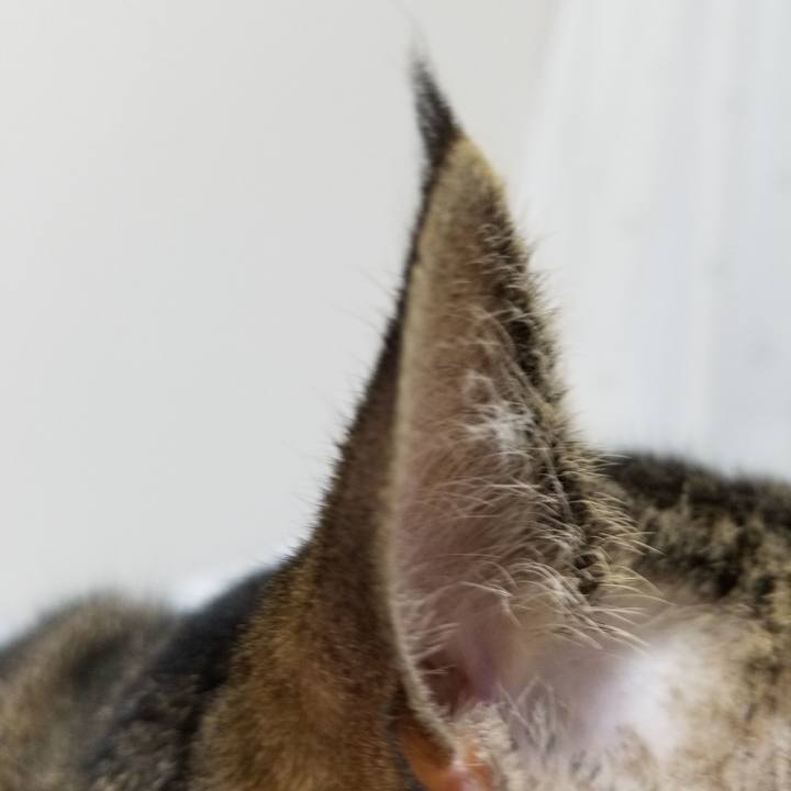 65f58315 47f0 4a1d 8af6 dcc9067ef642 1606340685675