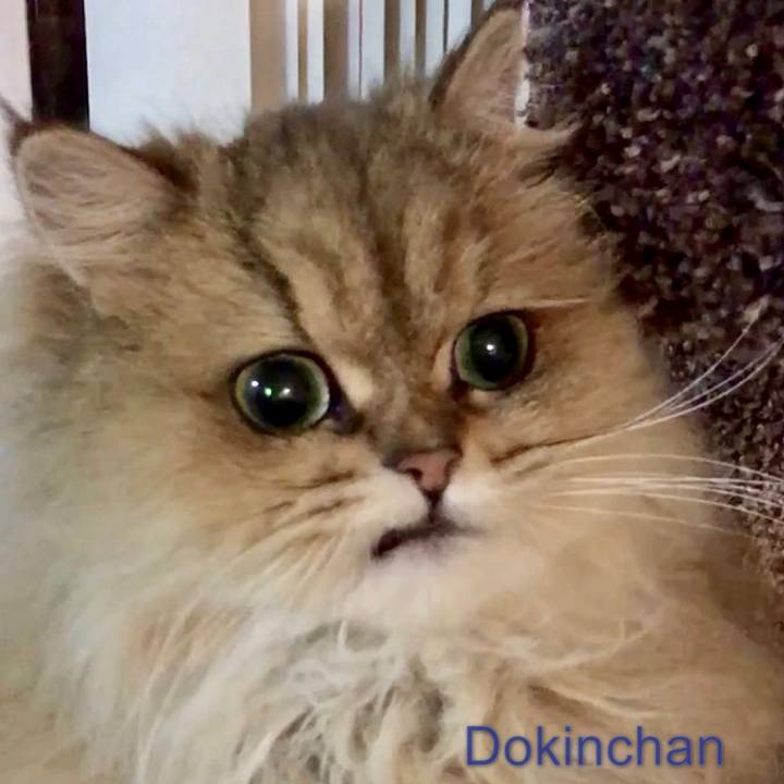 65f58b62 00c8 46ac ac37 5f63e5910381 1570303780372