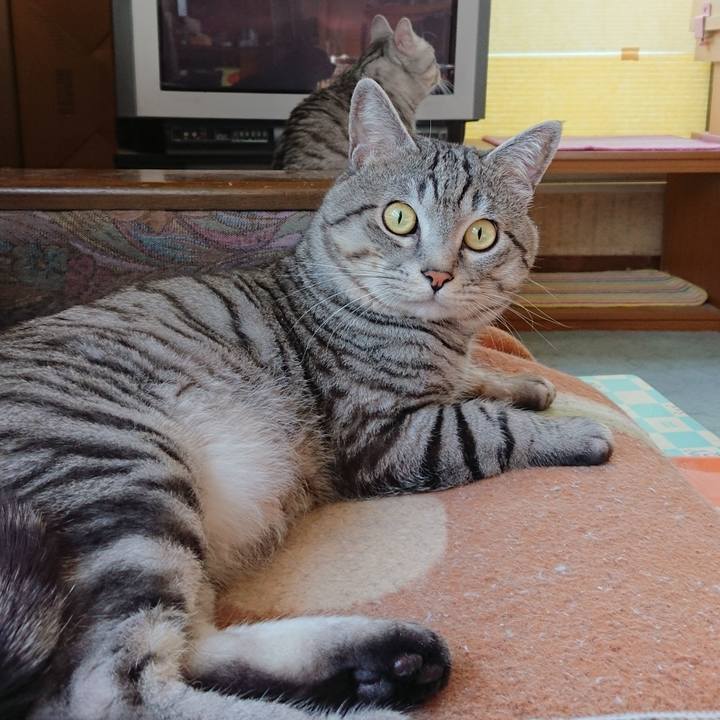 65f591f2 f50e 4eb7 8ad1 78b64c950216 1550191184282