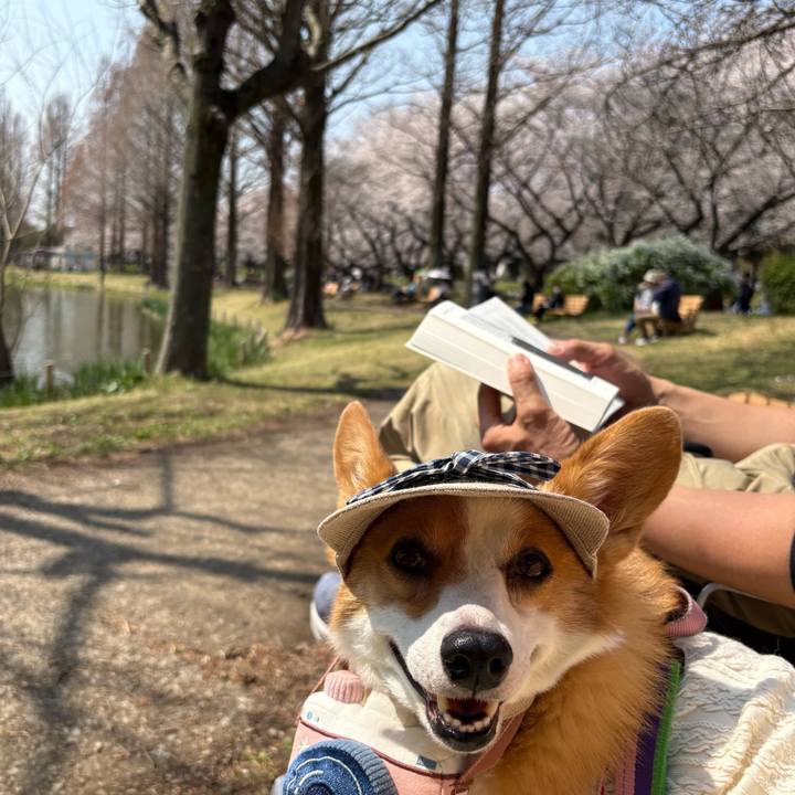 65f5f7a2 06e3 4fd6 a401 68b321e87f41 1774755092890