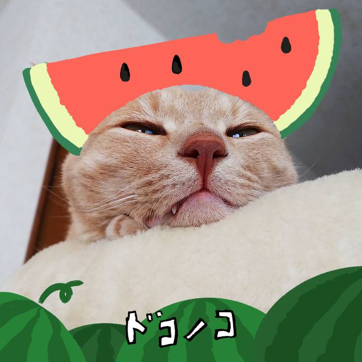 65f60194 8021 4224 9e6e dc0e6fc11e48 1720784322092