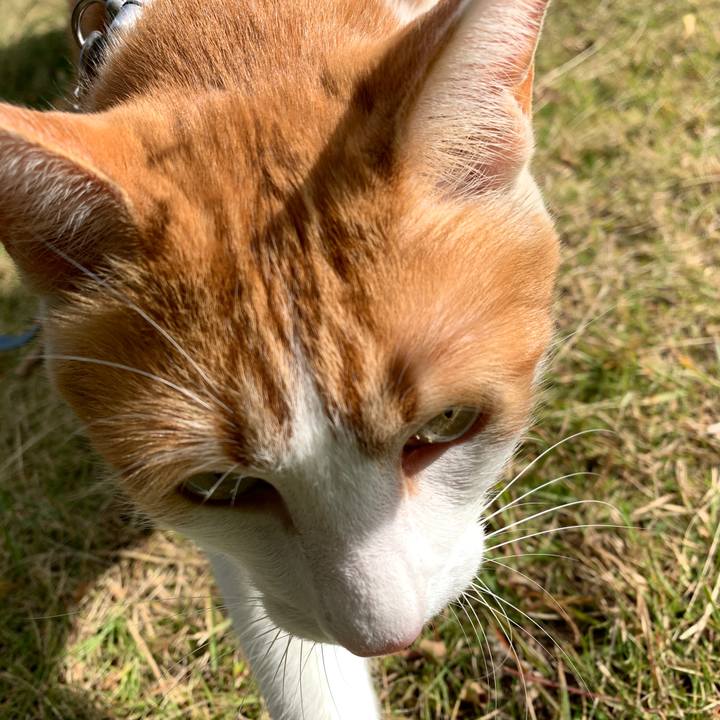 65f61b05 3ed8 46a5 b401 f4c9a96f673e 1573279786855