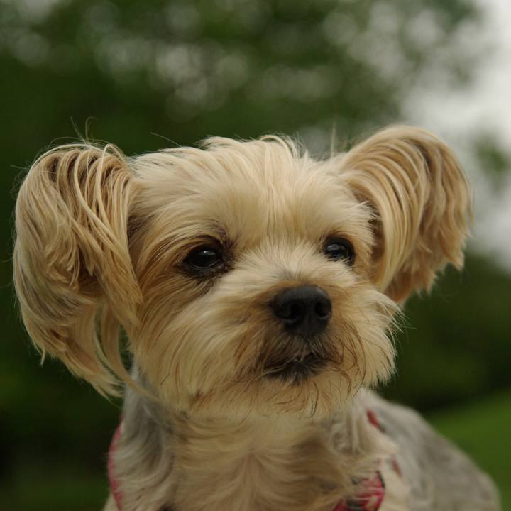 65f6230b 3c15 445a b864 883de9bc3e54 1537083052832