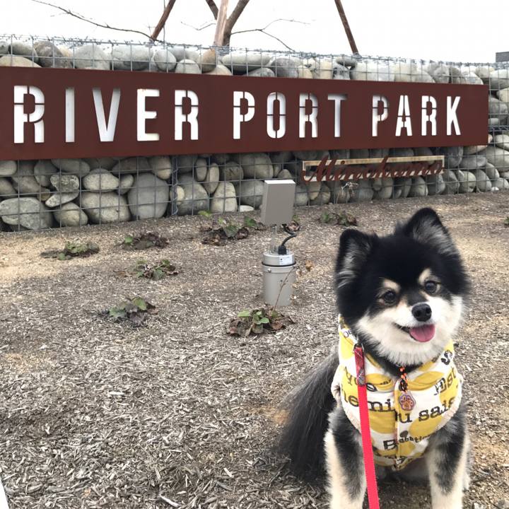 65f634a1 3b78 4e04 8957 bf4500a17597 1548244718029