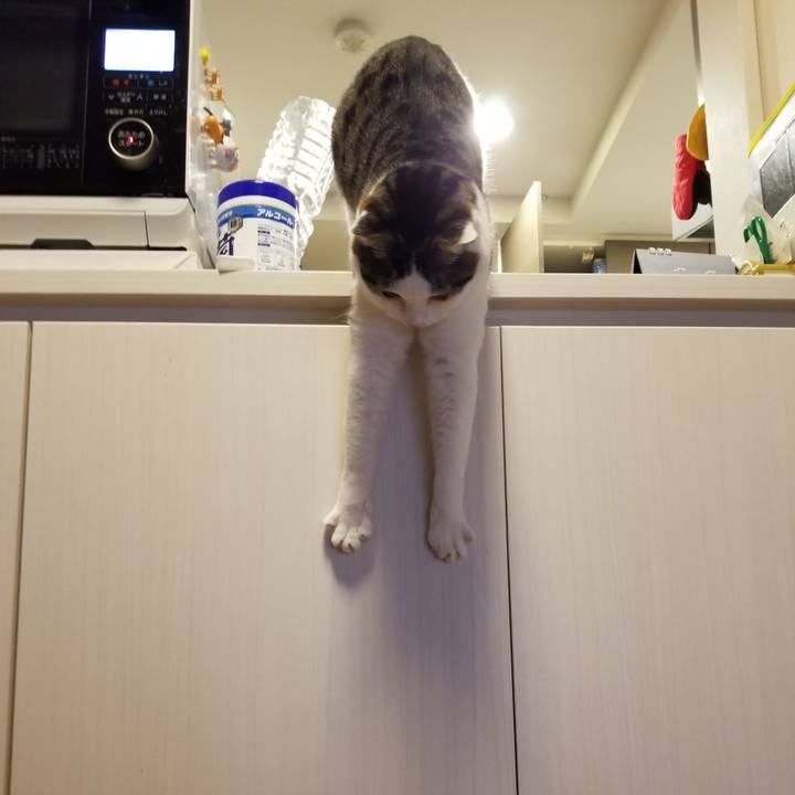 65f65237 b242 4922 8f4d 62202651d778 1600373910068