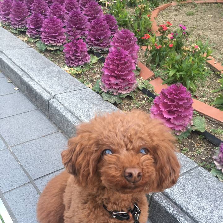 65f67aad 5824 4da4 895f 21bf6790793c 1520979743473