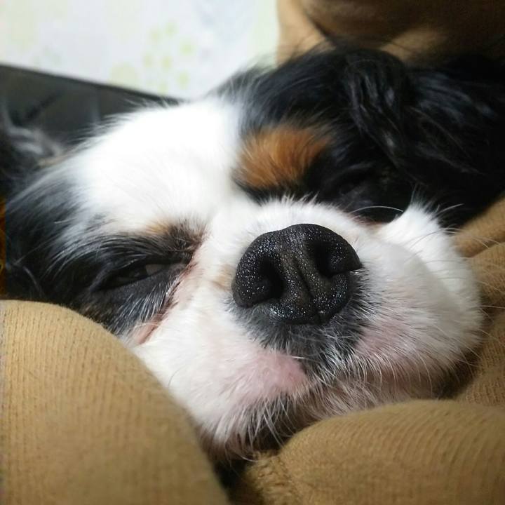 65f67b0f 06d0 4823 a8f3 414798461020 1521892105146