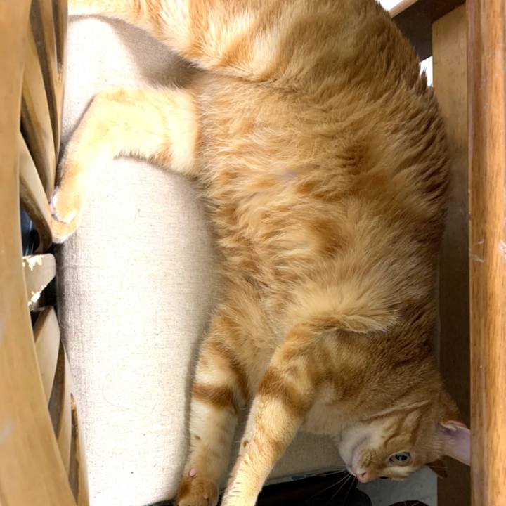 65f685cb 19ad 4262 be8f 0e2561a54b07 1584534595180