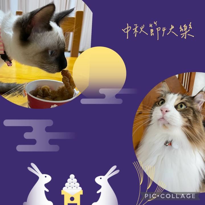 65f6a98d e5d3 439d 96f3 6c331466deeb 1695980624310