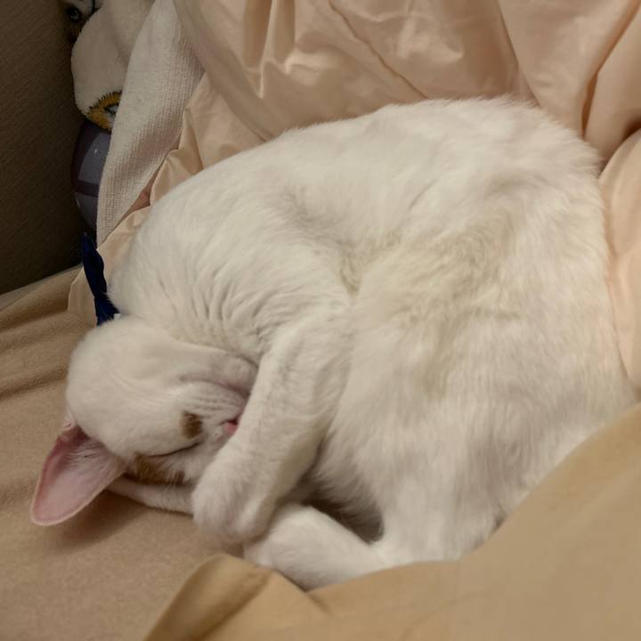 65f6ac02 e1d0 4ce4 bf32 f7bac9d7a5fb 1761827412398