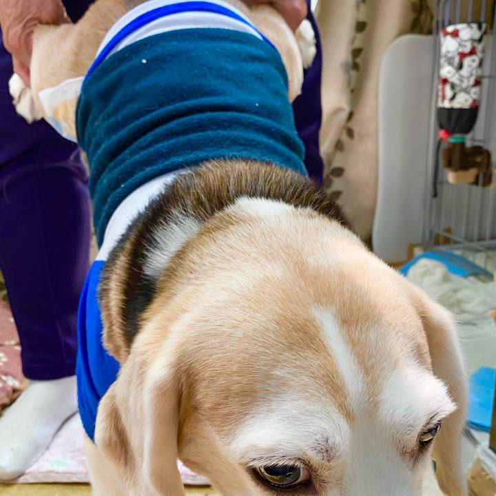 65f6afbd 0bfd 4b28 bb43 e6604a2b14f3 1619408471432